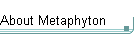 About Metaphyton